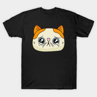 Teary eyed cat T-Shirt